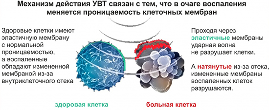 УВТ во Владимире